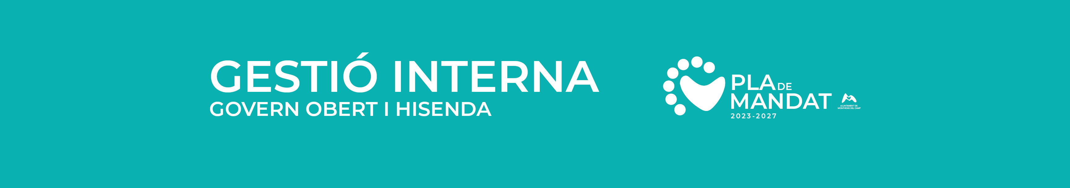 Gestió interna, govern obert i hisenda